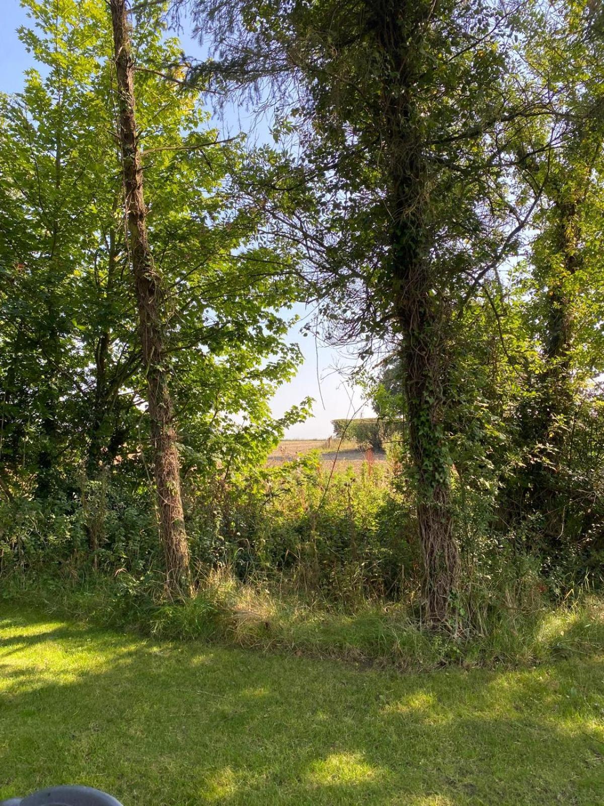 Kildare Countryside Pods Villa Exteriör bild